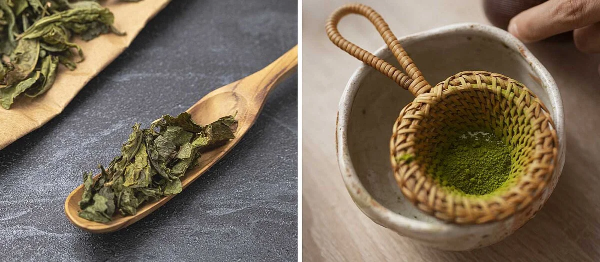 Lobodis- the -matcha