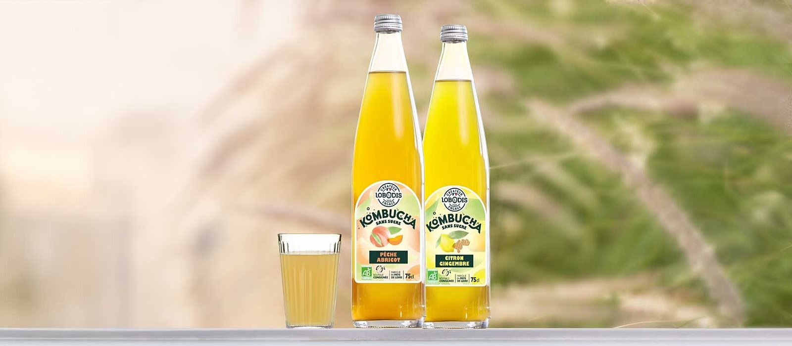 Les kombuchas lobodis