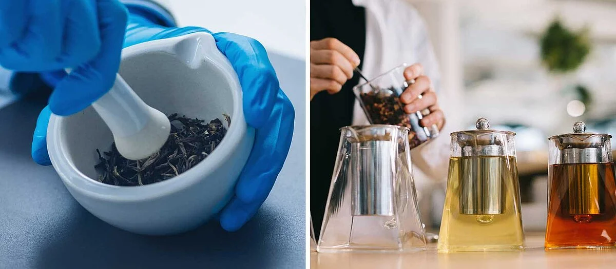 Lobodis - création et assemblage pour les recettes de thé