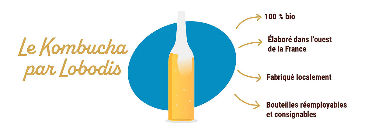 Les caractéristiques du kombucha Lobodis