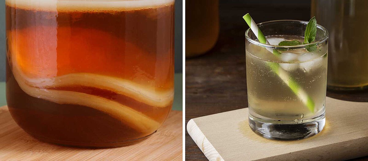 Le kombucha, une boisson millénaire - lobodis